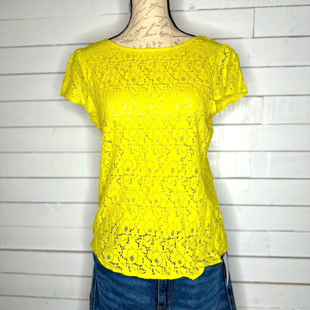 Loft blouse